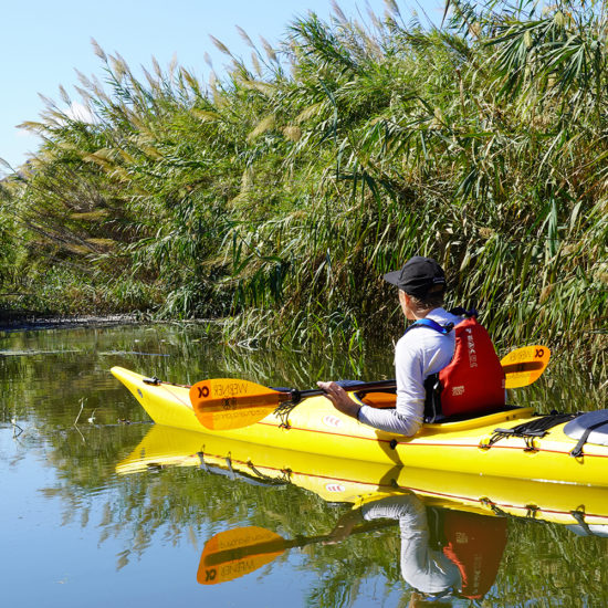 Sea Kayak Naxos - Sea Kayak Tours